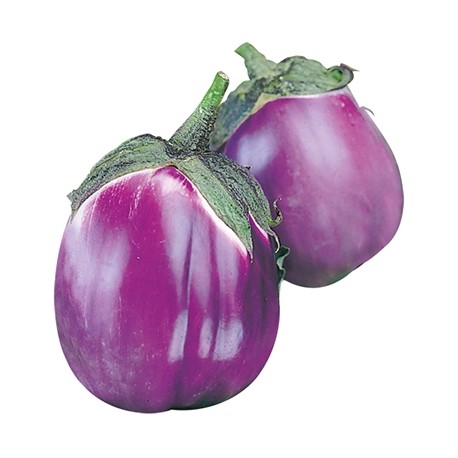 Semi Di Melanzana Bianca Tonda - 50 Semi Per Orto
